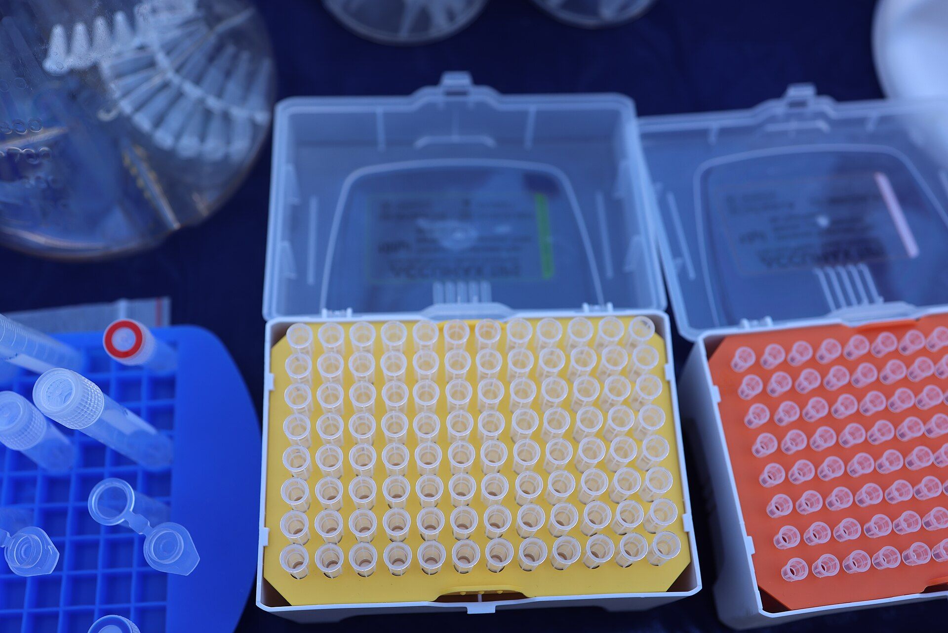 Ponteiras de pipeta em caixas amarela e laranja sobre bancada de laboratório azul
